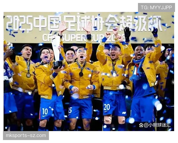 上海申花关键战表现波动明显，当前赛季问题逐步显现，球队稳定性面临考验