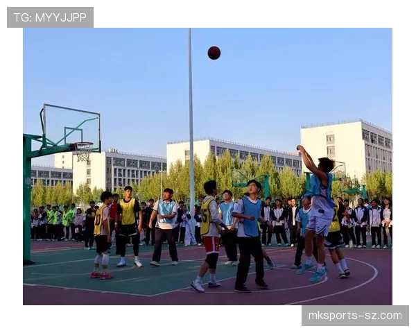 前场规则：篮球比赛中前场空间的使用限制详解