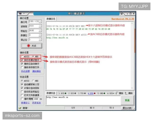 暂停时间限制：规则解析与实际应用指南